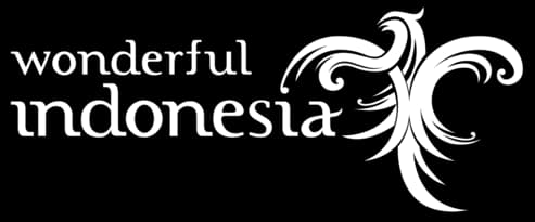 wonderful-logo